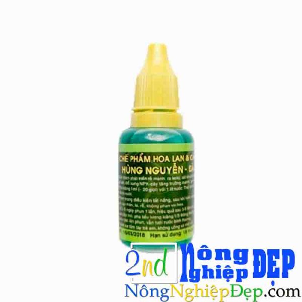 chế phẩm hùng nguyễn