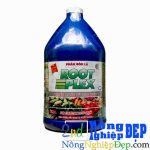 Root Plex Gallon 3,8 Lít
