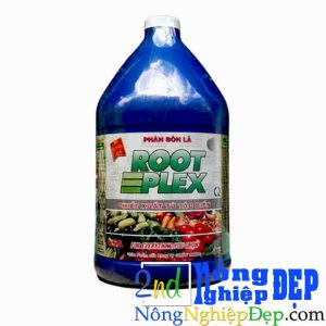 Root Plex Gallon 3,8 Lít