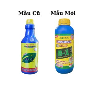 b1 growmore mẫu mới