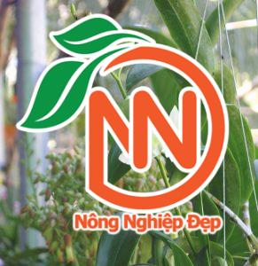 cách trồng hoa lan cơ bản