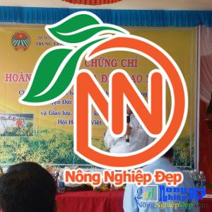 Lớp Học Trồng Lan