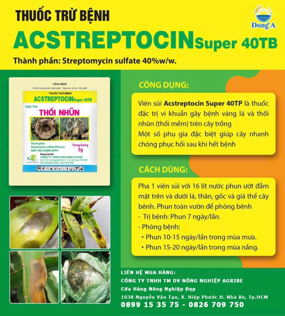 acstreptocin
