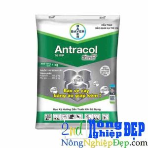 Antracol 70wp 100g