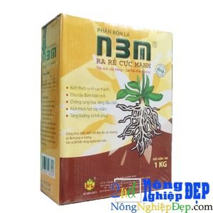 N3m 1kg