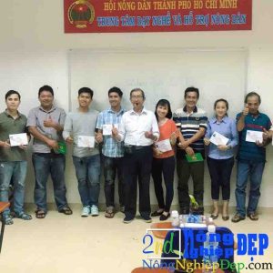 Lớp Học Trồng Lan Chuyên Sâu