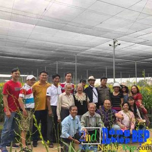 Lớp Học Trồng Lan Nâng Cao