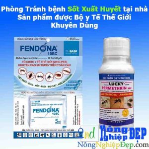 Phòng Tránh Bệnh Sốt Xuất Huyết