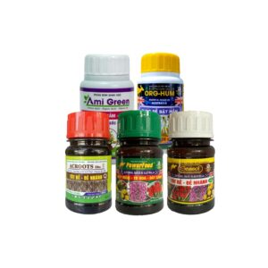 Combo thần thánh 5 chai