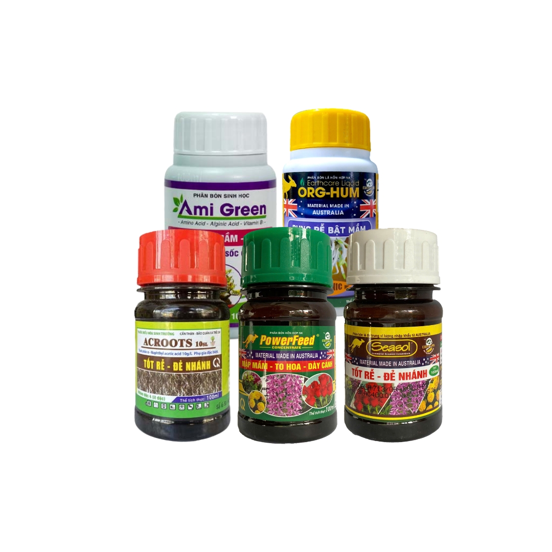 Combo thần thánh 5 chai