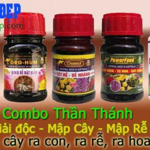 Combo Thần Thánh