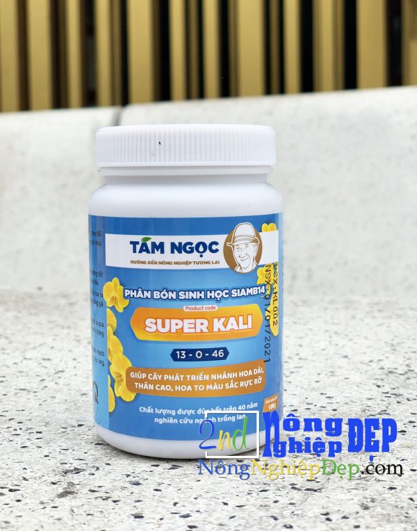 Super Kali Của Thầy Tám Ngọc | 13-0-46 - Hình ảnh 5