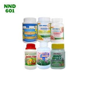 combo kích hoa Ngọc Điểm