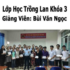 Lớp Học Trồng Lan Khóa 3