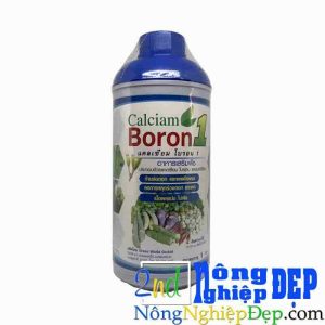 calciam Boron 1 Thái Lan Calciam Boron 1 Chai 1 Lit