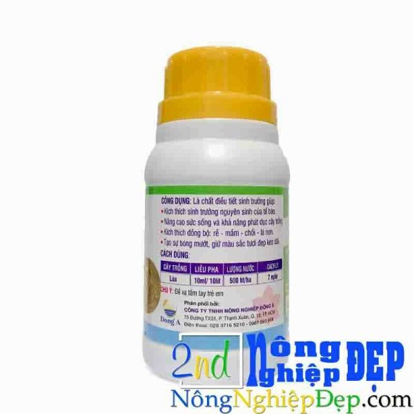 cong dung Litosen
