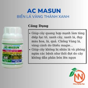 Công Dụng AC MASUN