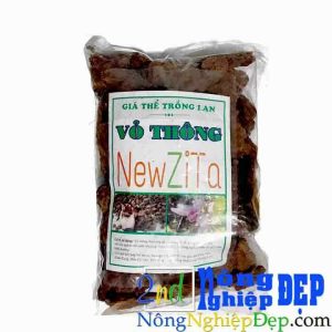 Vo Thong New Zita