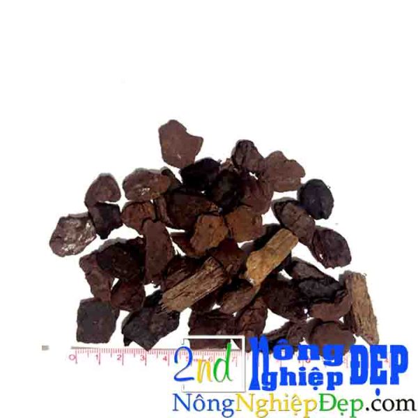 Vo Thong Nhap Khau 12 18