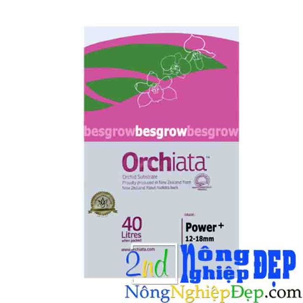 Vo Thong Orchiata 12 18mm