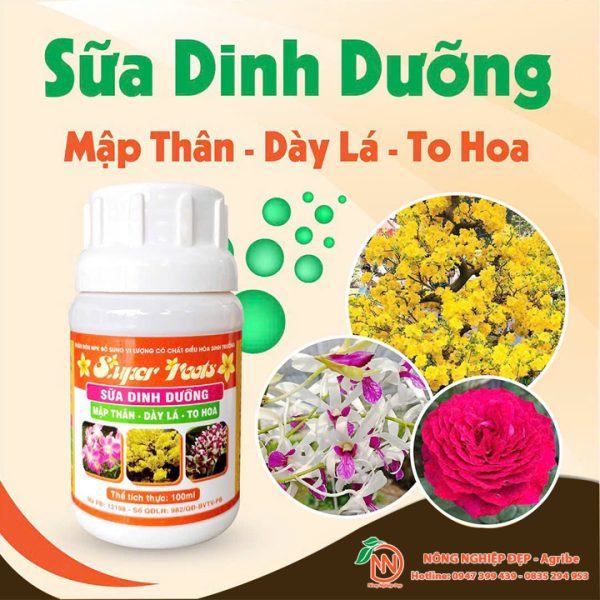 Sữa Dinh Dưỡng Super Roots