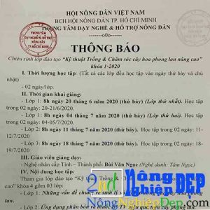 Lớp Học Trồng Lan Khóa 5