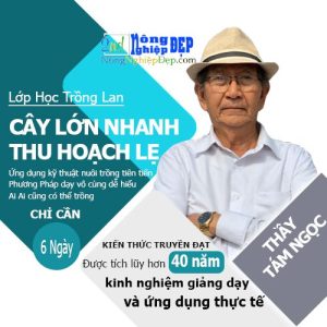 lớp học trồng lan khóa 6