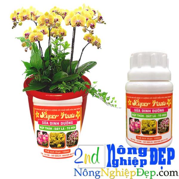 Sữa Dinh Dưỡng SUPER ROOTS 100ml - Hình ảnh 4