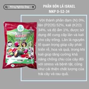 PHÂN BÓN LÁ ISREAL MKP 0-52-34