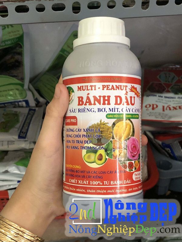 Bánh Dầu MULTI PEANUT - Hình ảnh 7