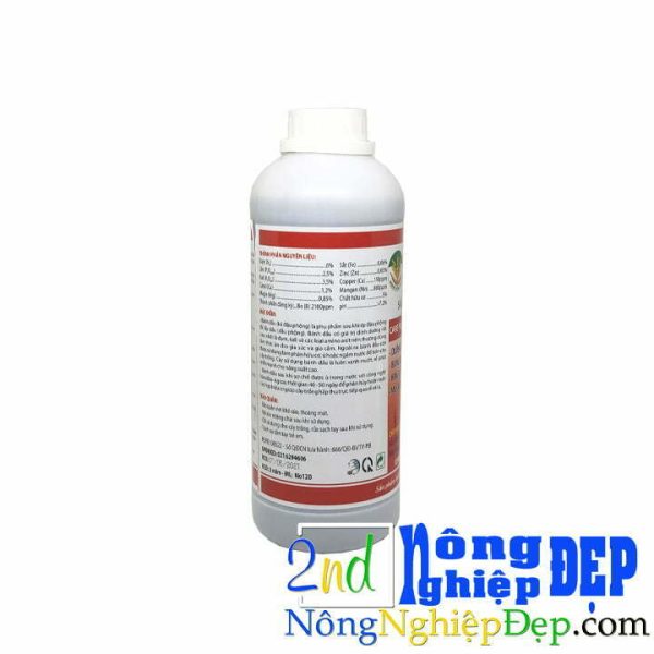 Bánh Dầu MULTI PEANUT - Hình ảnh 6