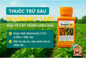 thuốc trừ sâu reasgant 3.6ec