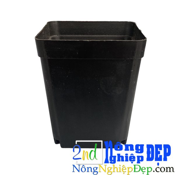 Chậu Nhựa Trồng Cây Mini - Size 7x7x8 Đủ Màu - Hình ảnh 3
