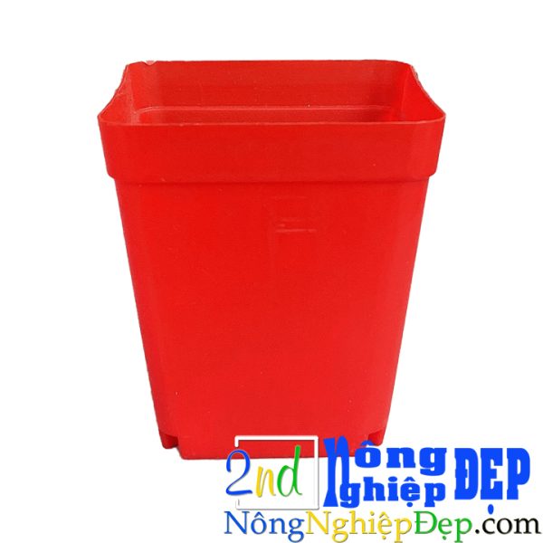 Chậu nhưa Trồng cây màu đỏ