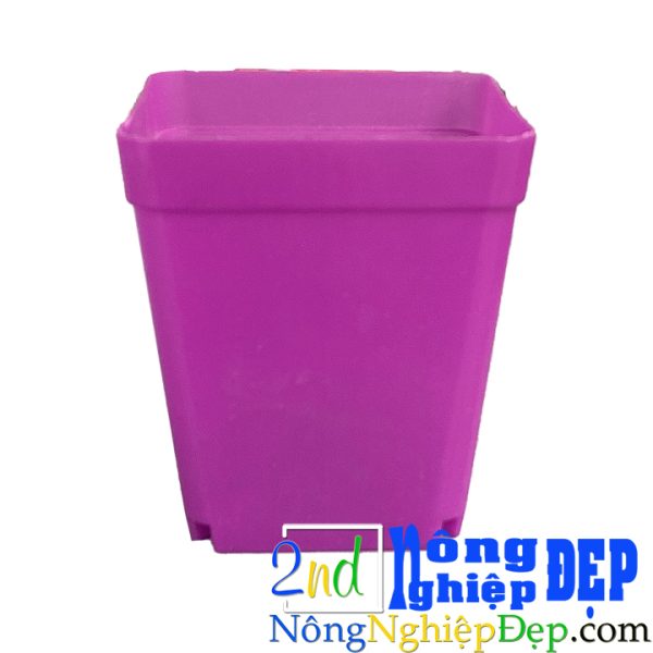 Chậu Nhựa Trồng Cây Mini - Size 7x7x8 Đủ Màu - Hình ảnh 4