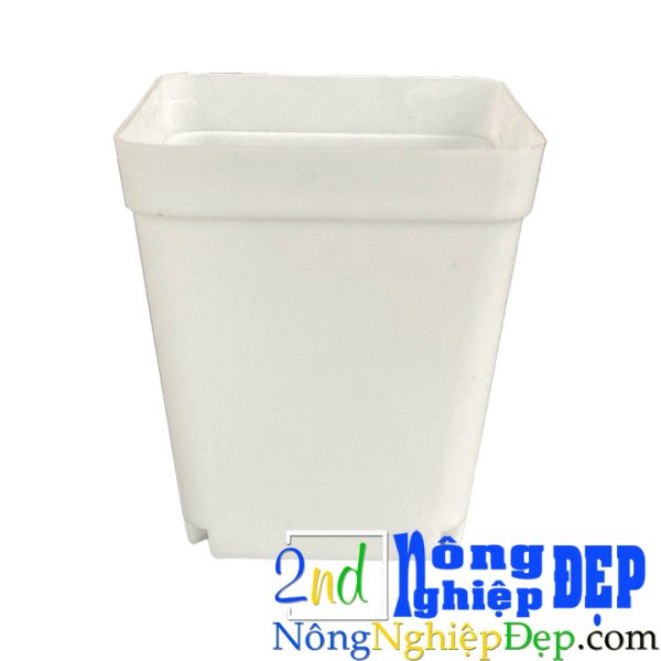 Chậu Nhựa Trồng Cây Mini - Size 7x7x8 Đủ Màu - Hình ảnh 9