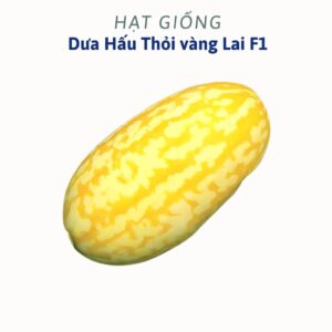 hạt Giống dưa hấu thỏi vàng lai f1