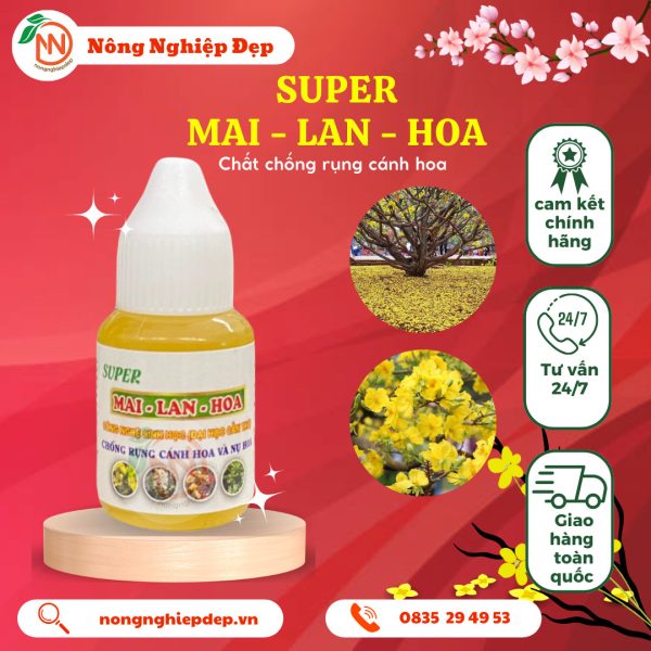 Super mai Lan Hoa