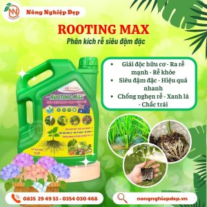 Rooting Max