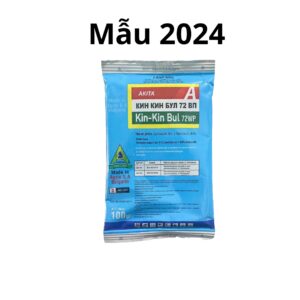 kin-kin bul 72wp 2024
