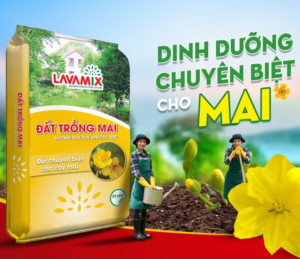 Đất trồng mai