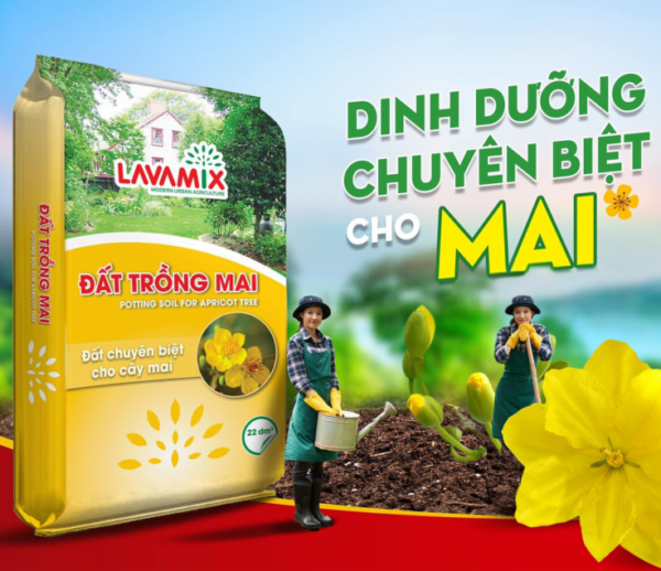 Đất trồng mai