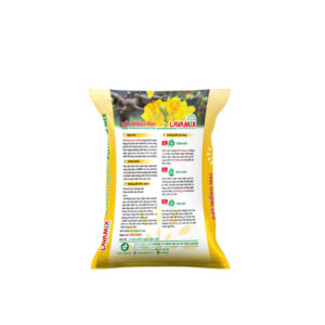 đất trồng mai lavamix mặt sau