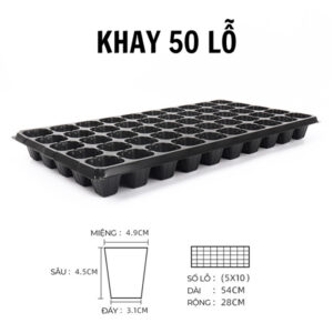 Khay Ươm Hạt GIống 50 Lỗ