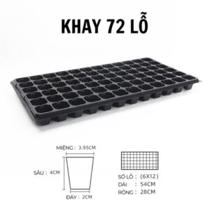Khay ươm hạt giống 72 lỗ