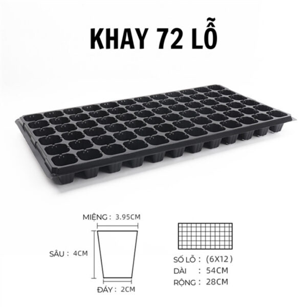 Khay ươm hạt giống 72 lỗ