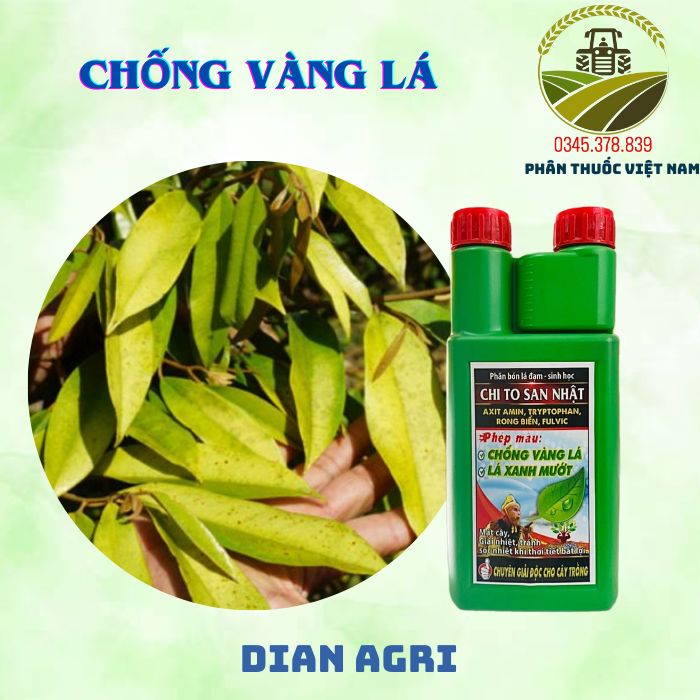 Khám Phá CHI TO SAN NHẬT 50ML - Bí Quyết Làm Đẹp Từ Nhật