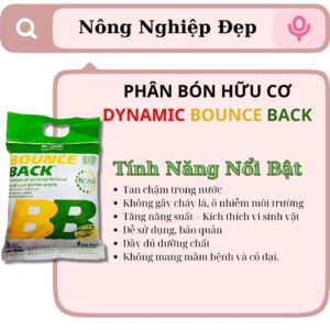 Phân Tan Chậm MAGAMP HYPONEX 6-40-5-15 - Bí Quyết Cho Cây Trồng