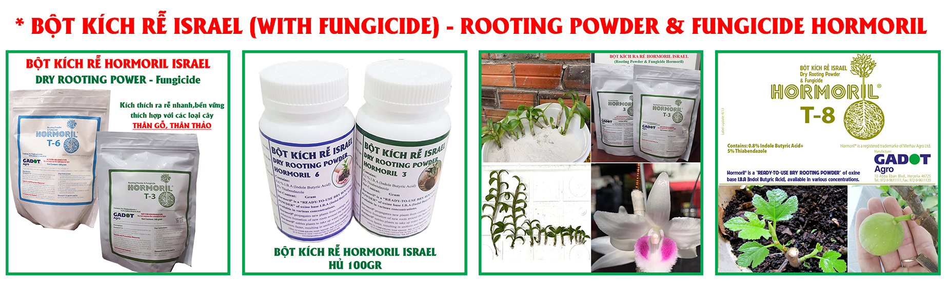 Rooting Max 5L - Phân Kích Rễ Siêu Đậm Đặc - Bí Quyết Cho Cây Khỏe Mạnh