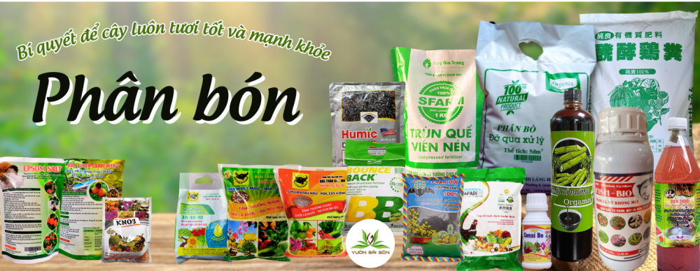 Tinh Vôi 98 – Siêu Sát Khuẩn - Bí Quyết Diệt Khuẩn Hiệu Quả